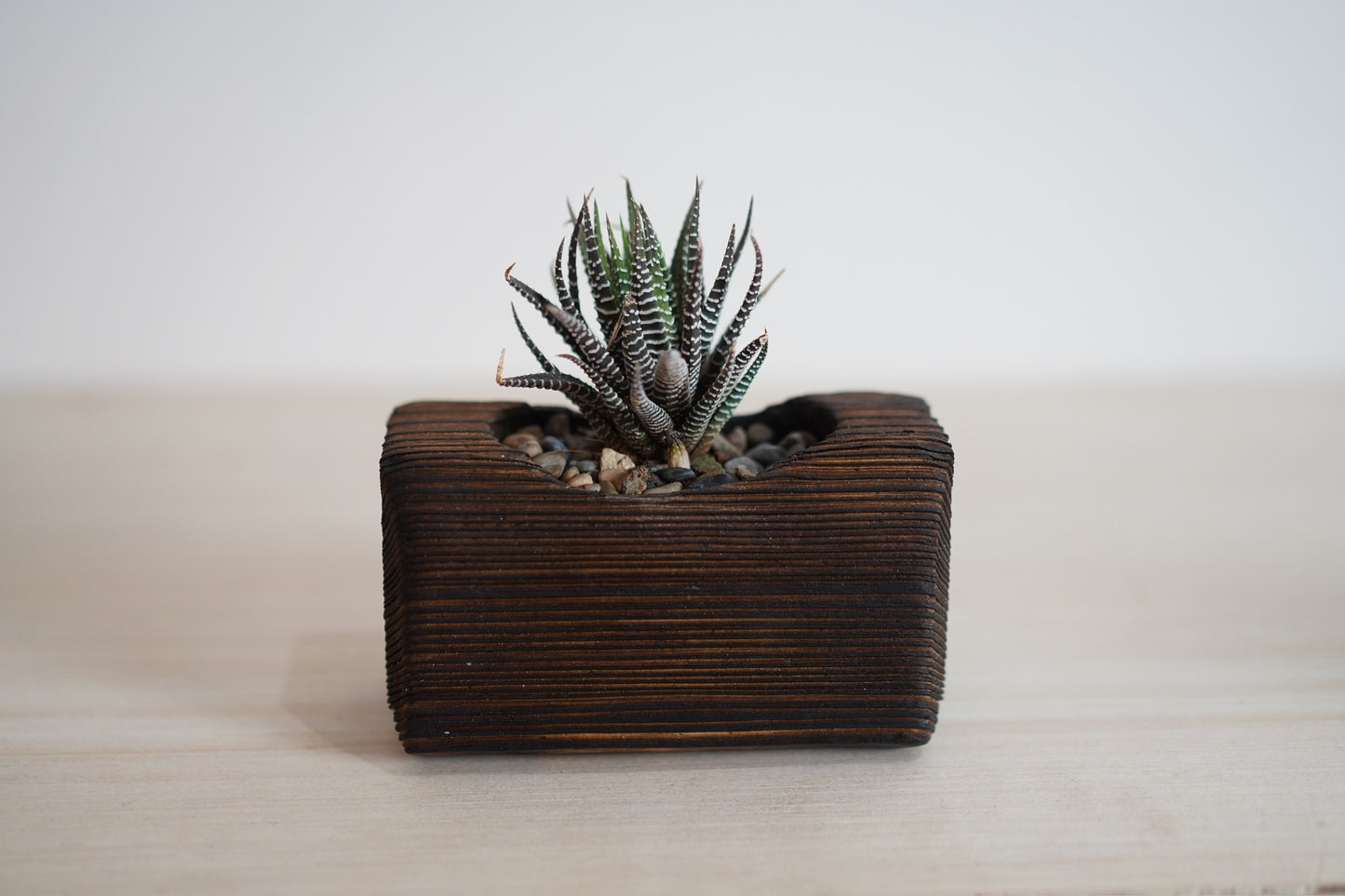 Mini Cactus Pot