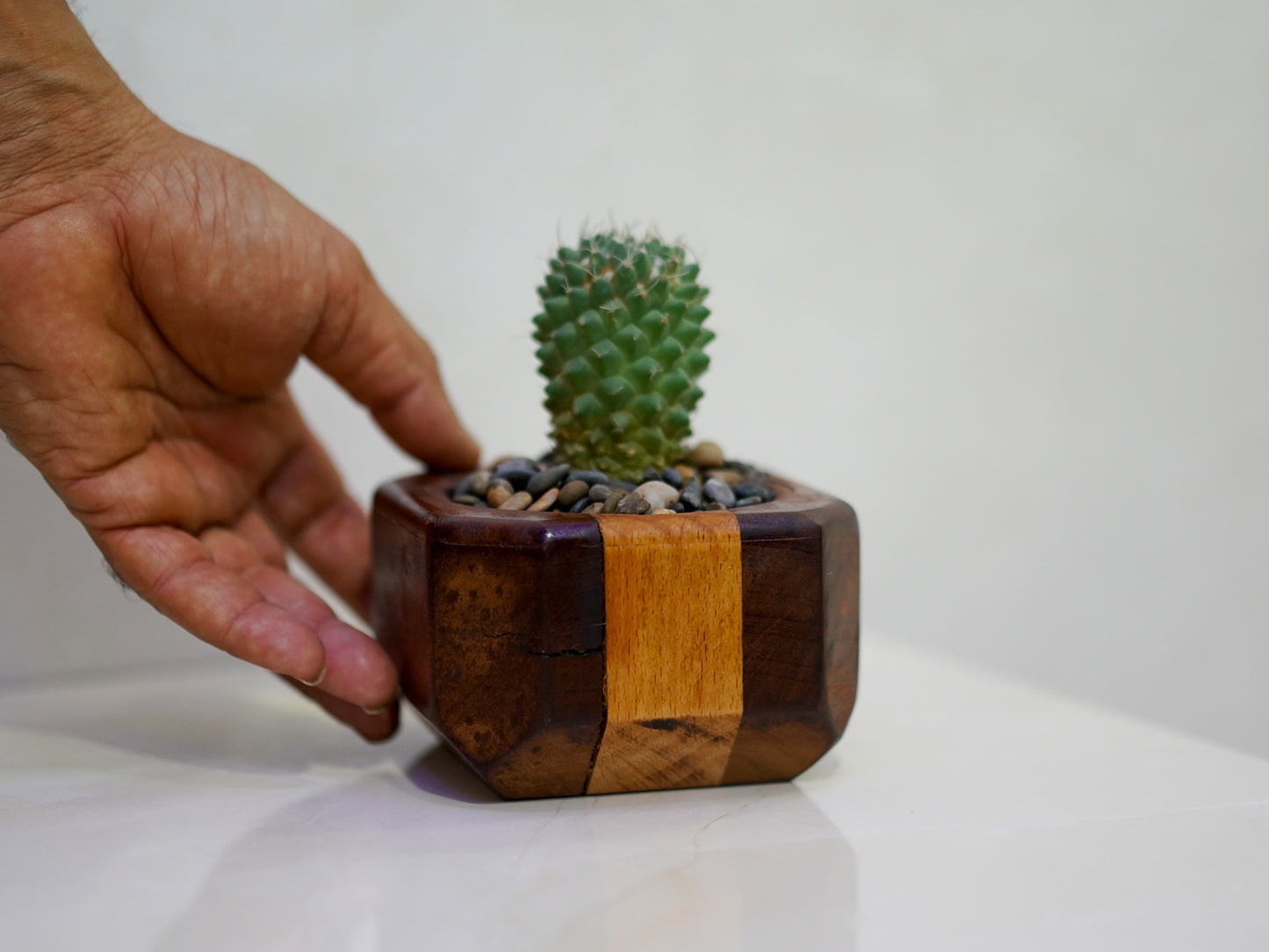 Mini Cactus Pot